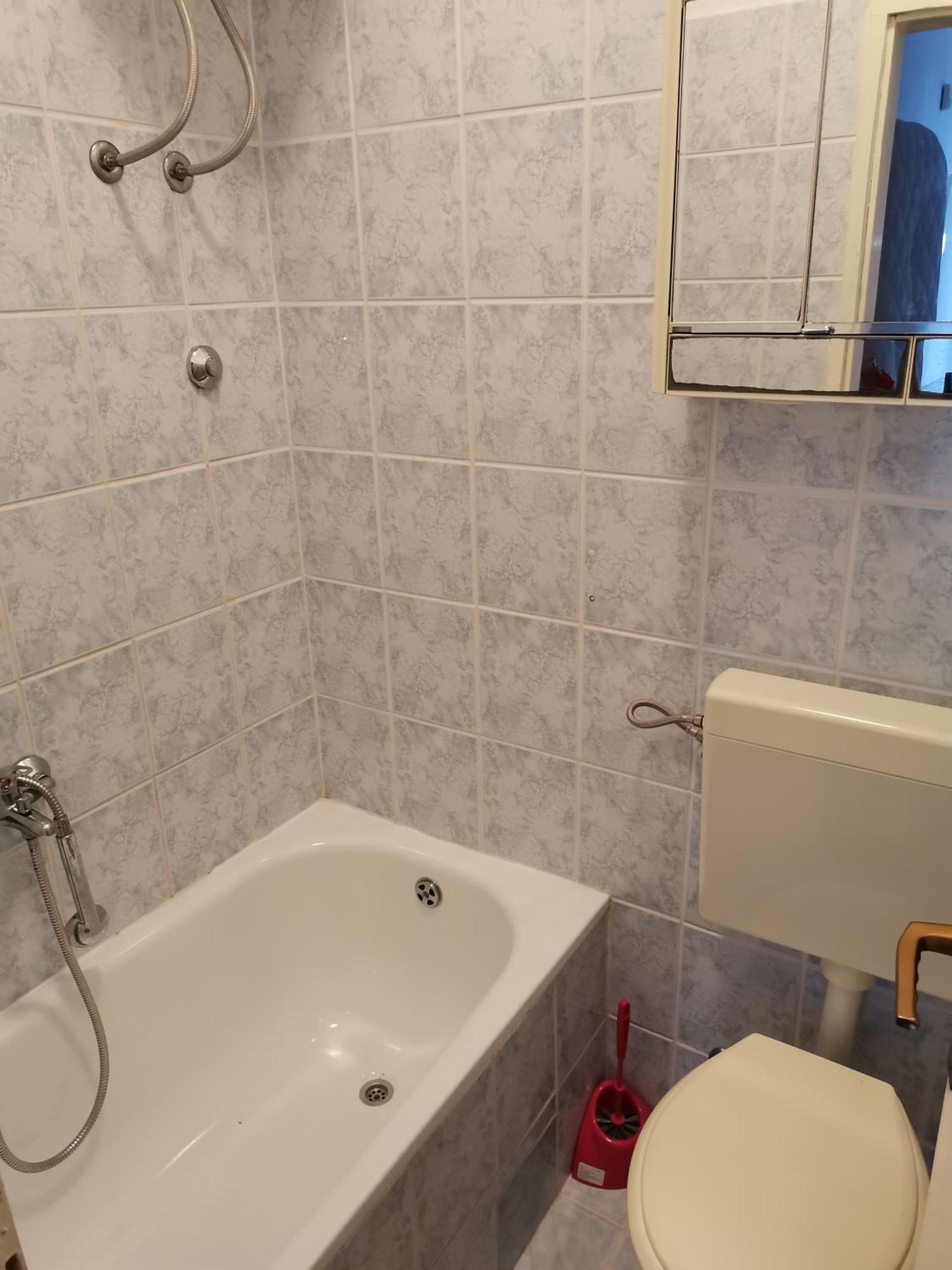 Guest house Radonic 3*